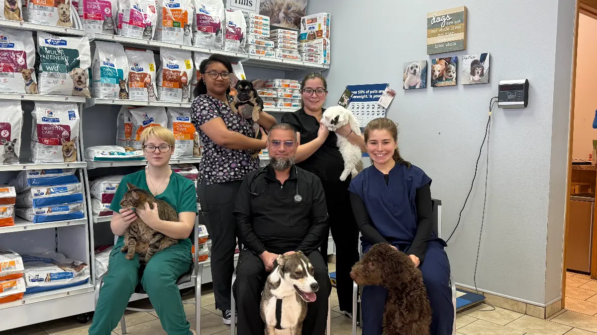 The veterinary team at Animal Clinic of Poplar Grove with dogs and cats