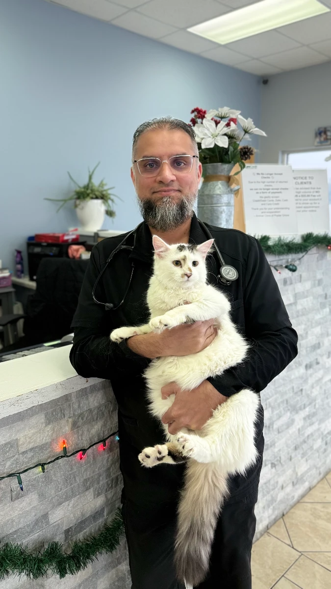 Dr. Malik holding a fluffy white cat at Animal Clinic of Poplar Grove